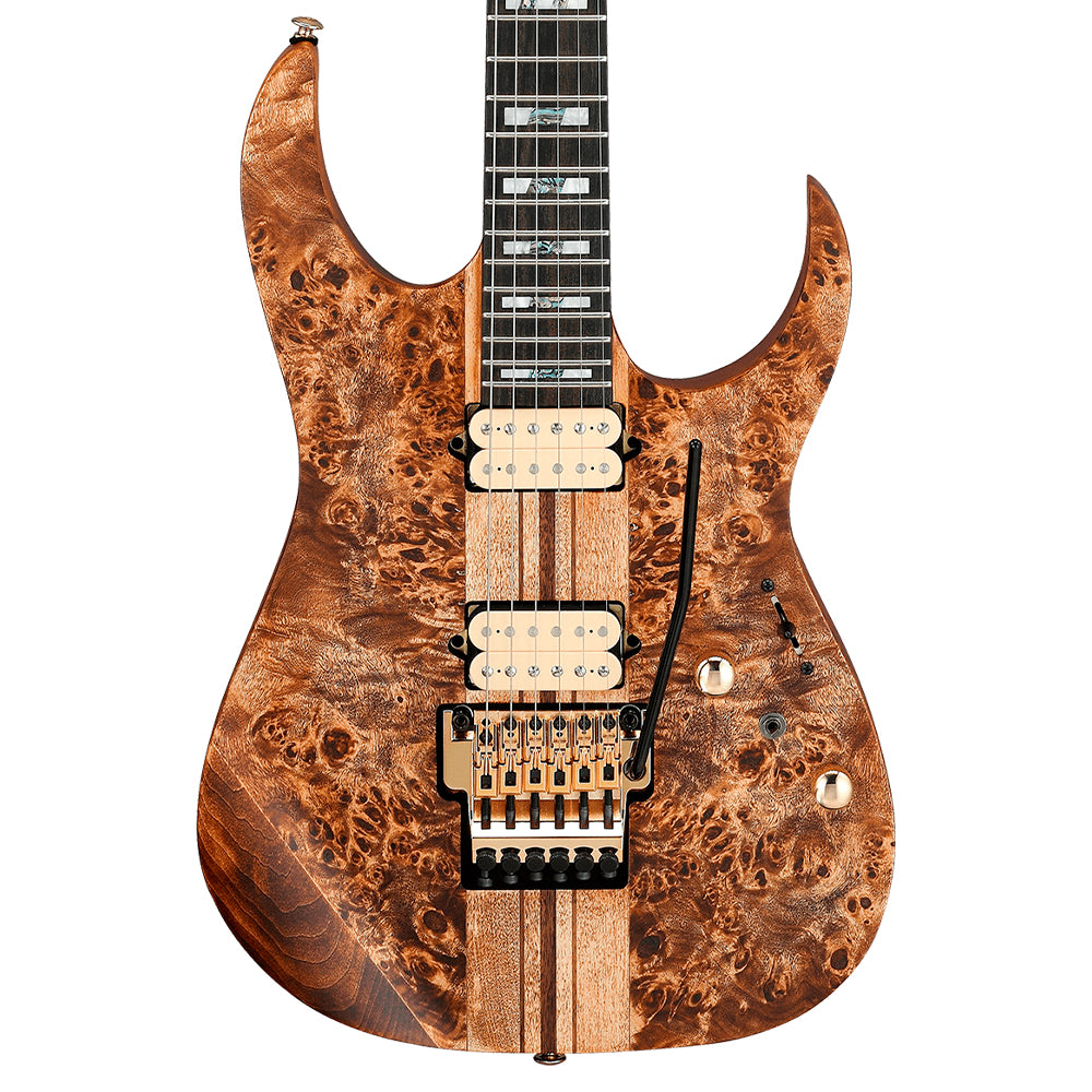 Guitarra Eléctrica Premium Ibanez - RGT1220PB ABS
