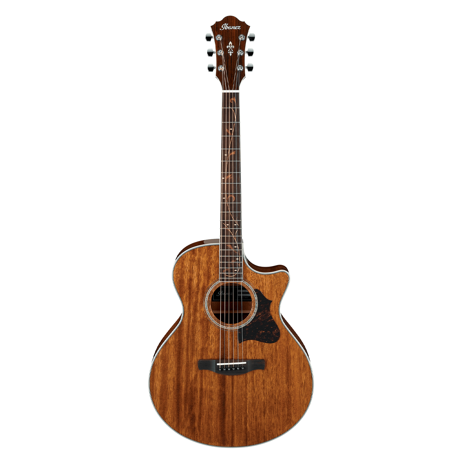 Ibanez AE245-NT 【公式通販】