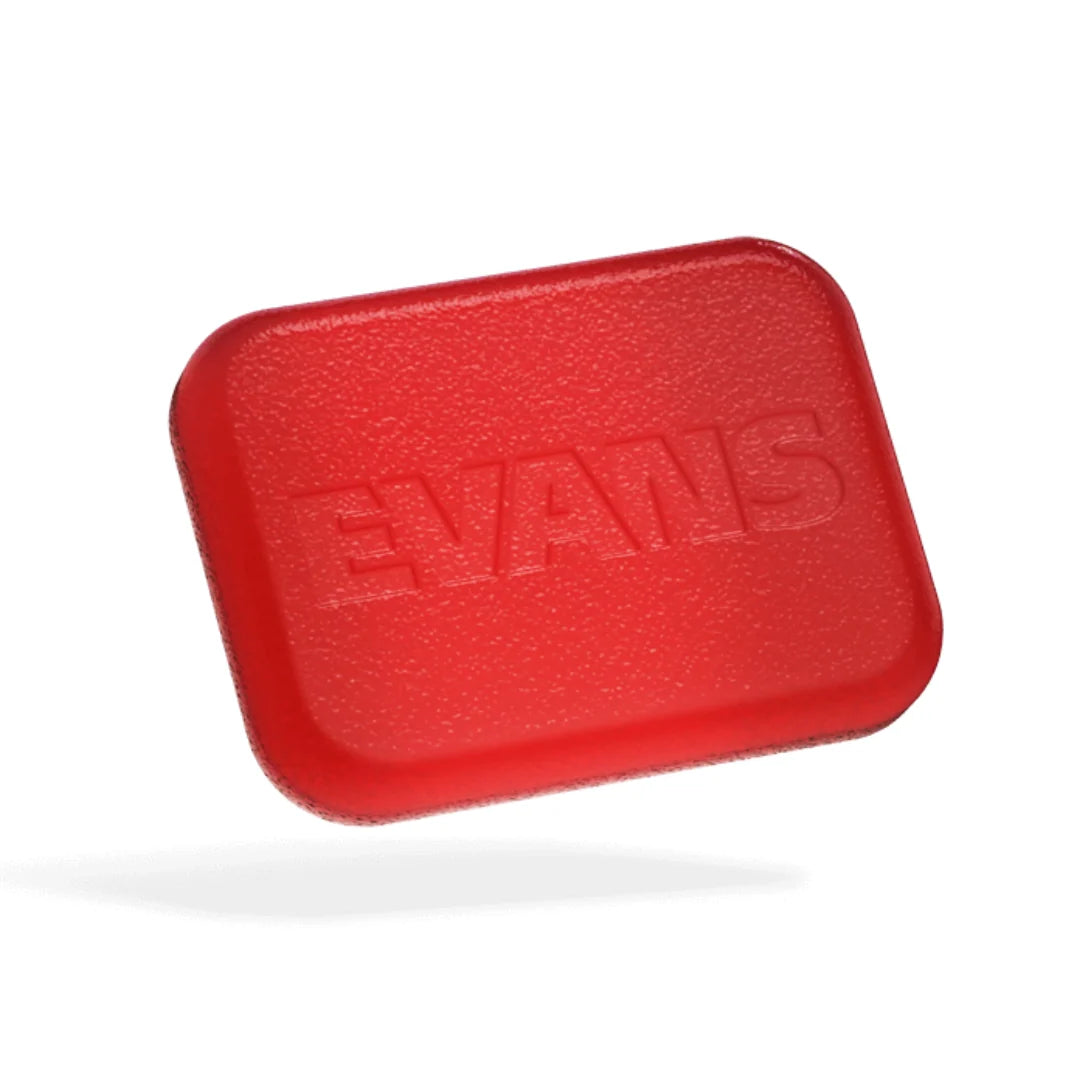 Control de tonos Evans - EQPODS