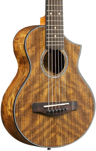Ibanez ewp14wb 2025